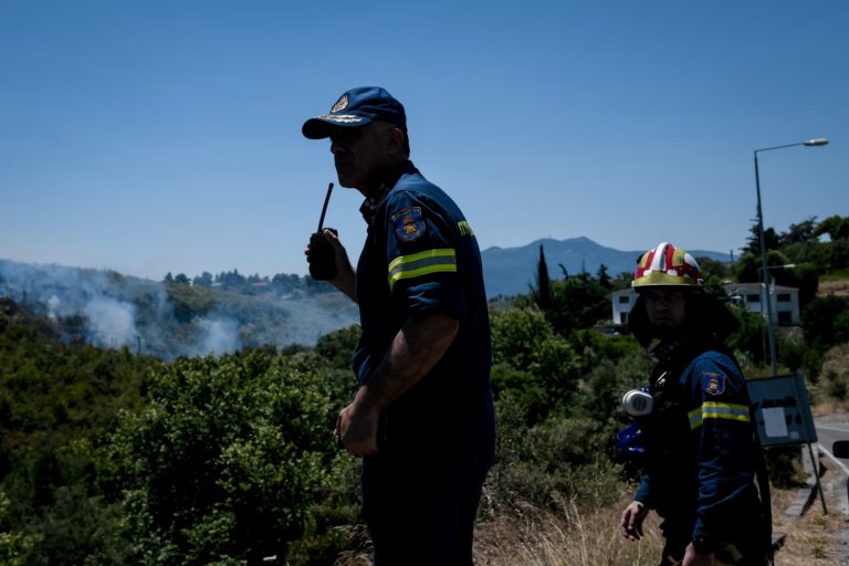 Λάρισα: Υπό έλεγχο η δασική πυρκαγιά στο Μεγαλόβρυσο Αγιάς