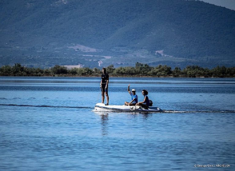 Σήμανση χελωνών από «Αρχέλων» σε Αμβρακικό και Ιόνιο