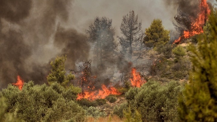 Περιορίστηκε η φωτιά στη Σιθωνία Χαλκιδικής (video)
