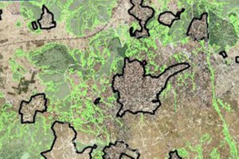 Κοζάνη: Παράταση αντιρρήσεων κατά του περιεχομένου Δασικού Χάρτη