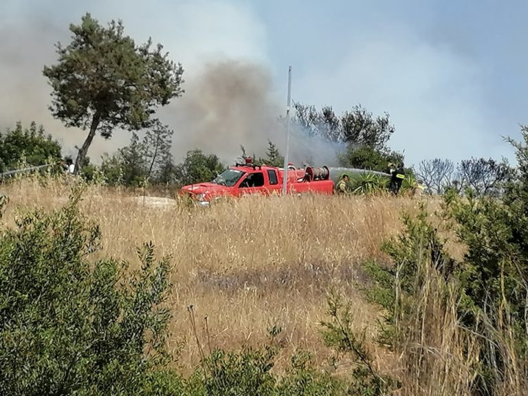 Υπό έλεγχο η φωτιά στην Ερμιονίδα (εικόνες)