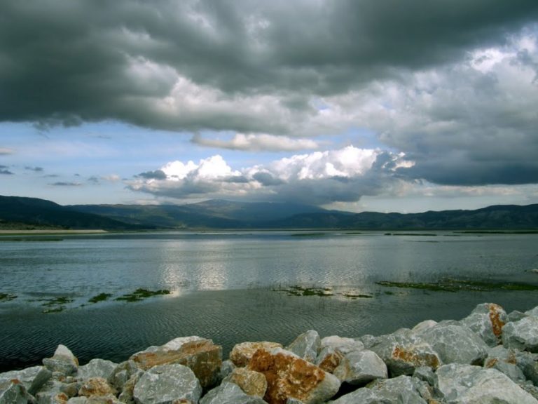 Ενημέρωση μαθητών για τα οφέλη της ανασύστασης της λίμνης Κάρλα στο Αρμένιο Λάρισας