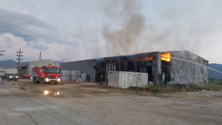 Πυρκαγιά σε αποθηκευτικό χώρο στη Νέα Κερασούντα Πρέβεζας