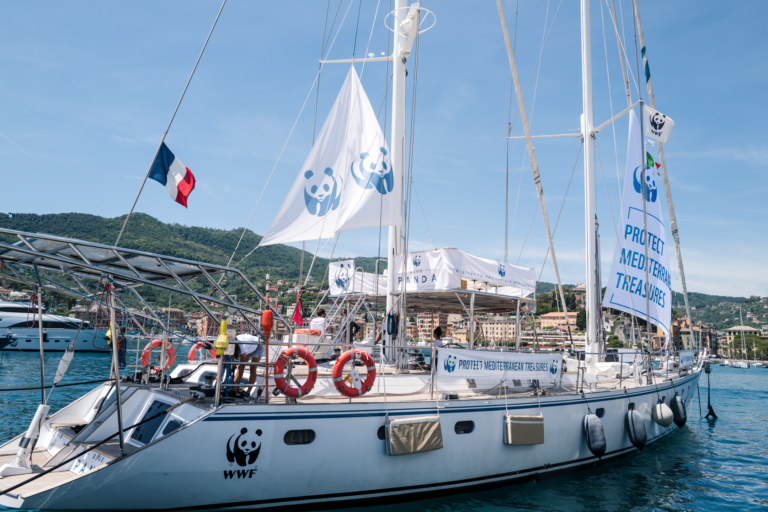 Το ιστιοπλοϊκό σκάφος του WWF «Blue Panda» έρχεται στη Ζάκυνθο