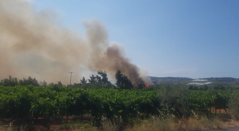 Kορινθία: Σε εξέλιξη η φωτιά στο Καλέντζι (video)