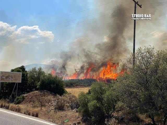 Μάχη με τις φλόγες στο Αραχναίο – Εκκένωση του οικισμού Γκάτζια λόγω καπνών (video)