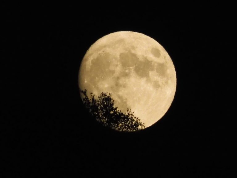 Αύριο η μεγάλη πανσέληνος του Ιουλίου – Στον ουρανό το “Φεγγάρι του Ελαφιού”