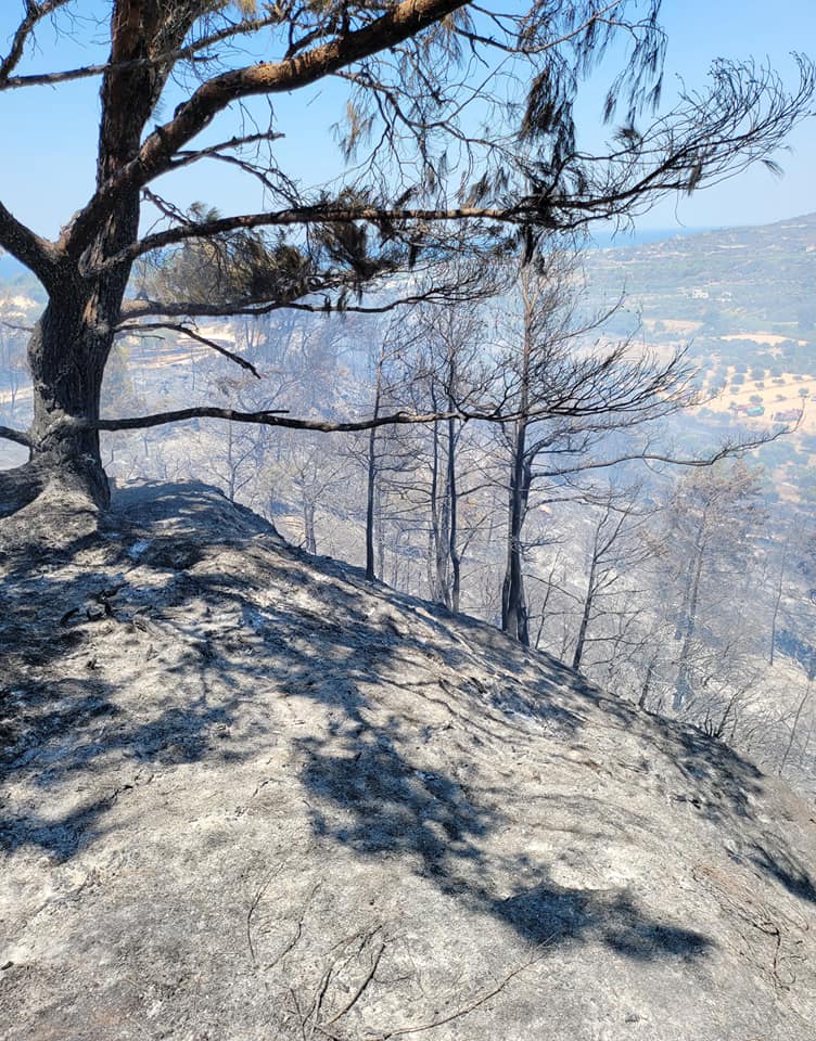 Στην Αιγιάλεια αύριο Τετάρτη 4/8 η Φώφη Γεννηματά