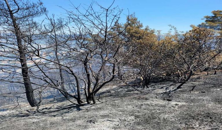 Διοικητής Π.Υ Ρόδου: Μια απλή φωτιά σε δέκα λεπτά έγινε πυρκαγιά