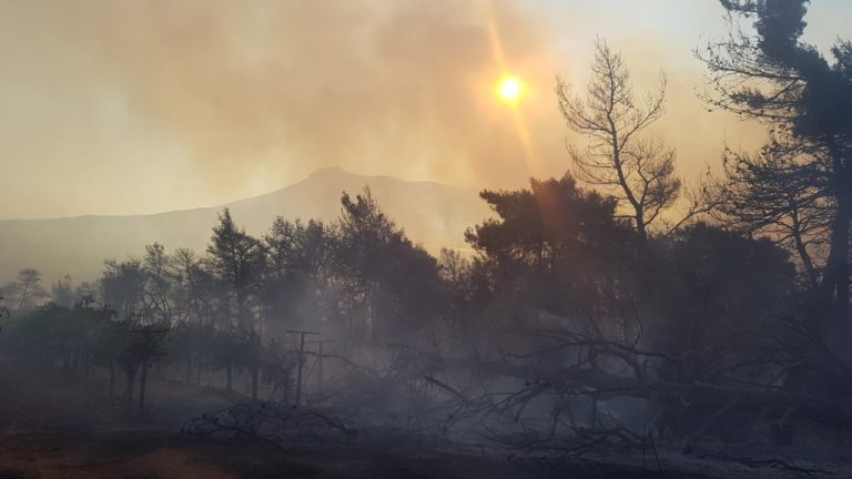 Πάτρα: Απολογισμός και καταγραφή ζημιών από τις φωτιές σε Ερύμανθο και Ελεκίστρα (video)