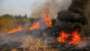 Αργολίδα: Φωτιά σε χωματερή κοντά στο Λυγουριό