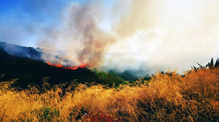 Πολύ υψηλός κίνδυνος πυρκαγιάς (κατηγορία κινδύνου 4) για Πέμπτη 22 Ιουλίου