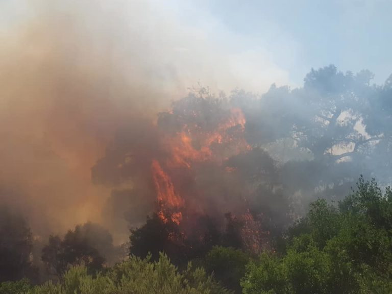 Δάσος και προστατευμένες περιοχές απειλεί η φωτιά στον Έβρο- Εγκατέλειψαν τα σπίτια τους οι κάτοικοι της Λευκίμμης Σουφλίου