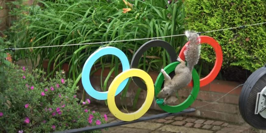Φωτογραφίες: Το διαφορετικό «έπταθλο» των Ολυμπιακών Αγώνων – Αθλητές… σκίουροι, οι φερέλπιδες Ολυμπιονίκες