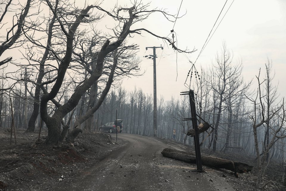 Ροδόπη: Απαγορεύεται και σήμερα η διέλευση σε δάση, πάρκα, άλση και δασικές εκτάσεις