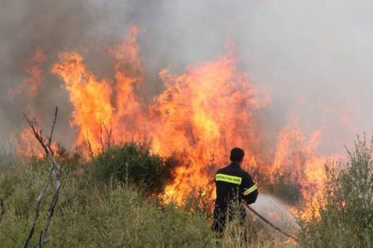 Φωτιά στην Αλυκή Πάρου – Κινητοποιήθηκαν επίγεια και εναέρια μέσα