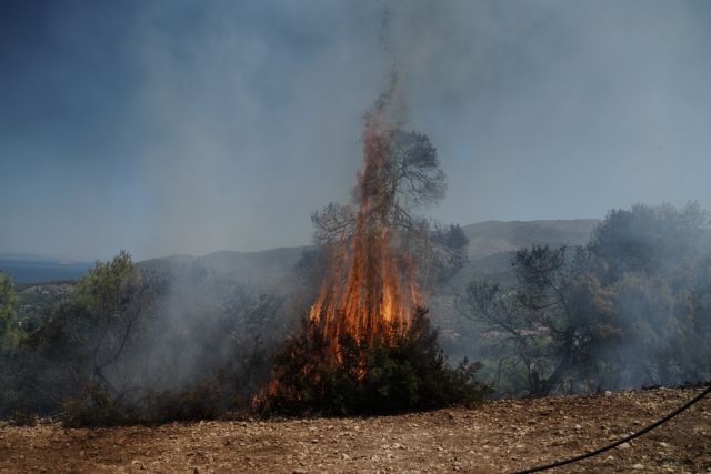 Κοζάνη: Πυρκαγιά σε δασική έκταση στην περιοχή Πυργοί Κοζάνης