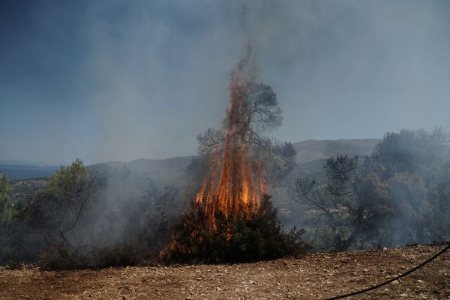 Αν.Μ.Θ.: Υψηλός κίνδυνος πυρκαγιάς αύριο Πέμπτη 5 Αυγούστου