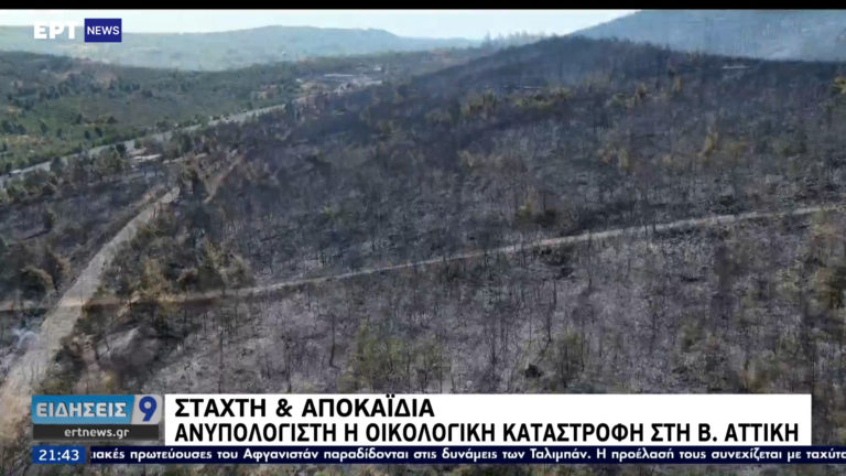 Β. Αττική: Βελτιωμένη η κατάσταση από την πυρκαγιά – Εικόνες της καταστροφής από το drone της ΕΡΤ