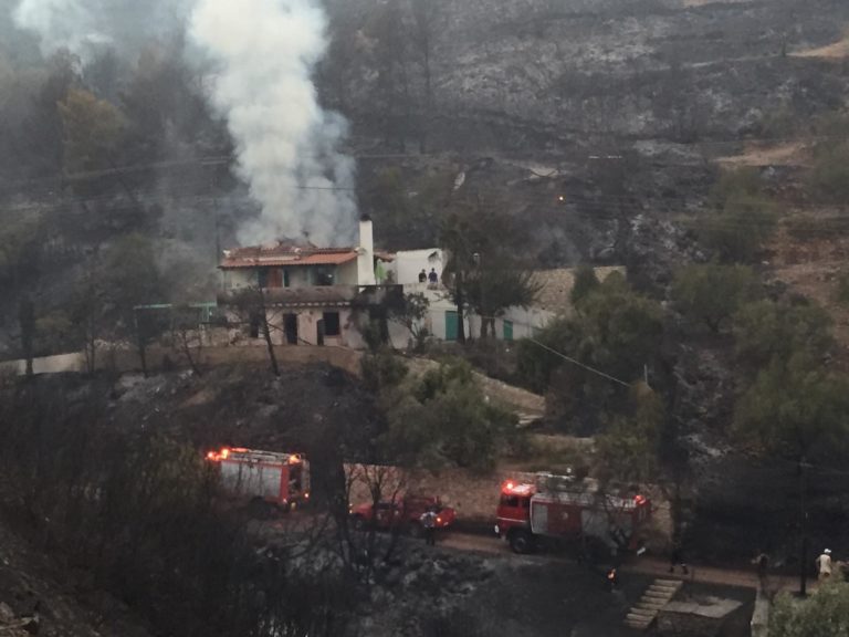 Μεσσηνία: Σε μια πρώτη αποτίμηση των καταστροφών από τις πυρκαγιές προχώρησε η Περιφέρεια