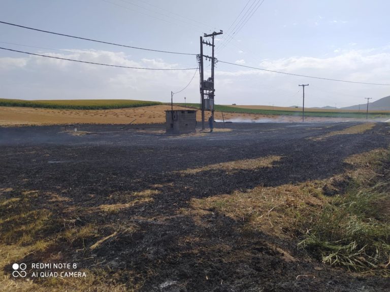 Πυρκαγιά έκαψε υπολείμματα καλλιεργειών στον Άγιο Δημήτριο του δήμου Ρήγα Φεραίου