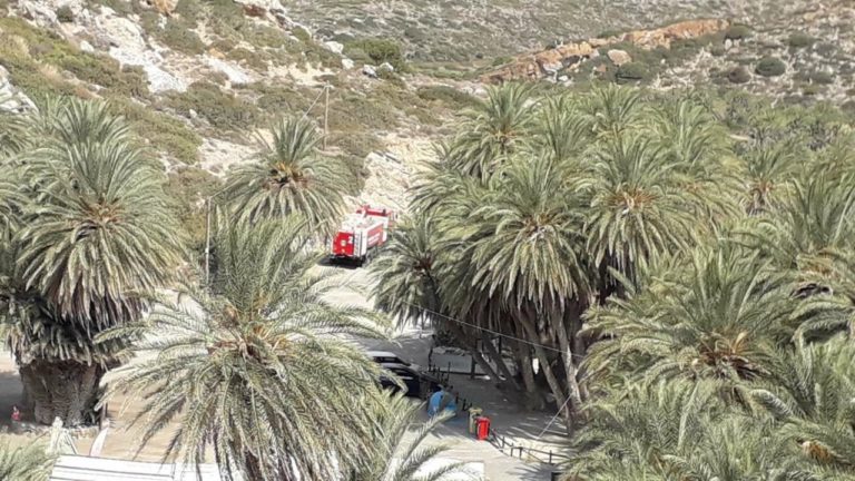 Μια ακόμη κοινωνική δράση του Πολεμικού Ναυτικού στο Φοινικόδασος στο Βάι
