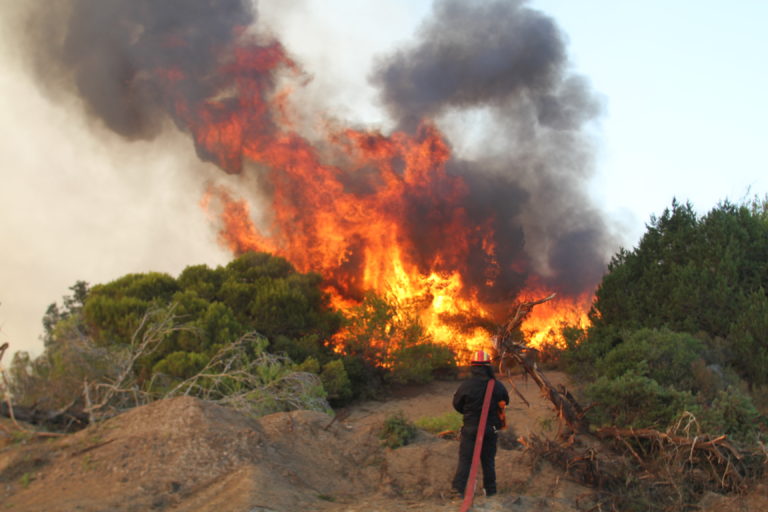Αναζωπυρώθηκε η φωτιά στην Στροφυλιά Ευβοίας – Εφιαλτική η κατάσταση – Σπίτια στις φλόγες (video & φωτογραφίες)
