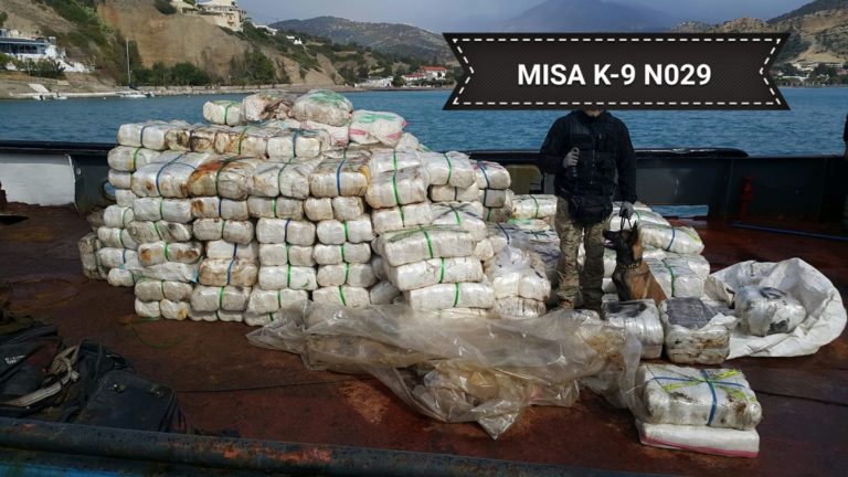 Χανιά: Πέθανε η Μίσα, ο αστυνομικός σκύλος ανίχνευσης ναρκωτικών