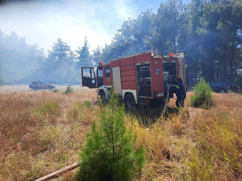 Ροδόπη: Υπό έλεγχο η πυρκαγιά σε δασική περιοχή της Νυμφαίας