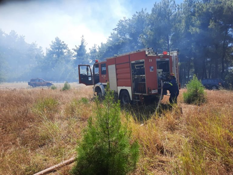Φήμες στοχοποίησαν   μελισσοκόμο για την Φωτιά στη Νυμφαία