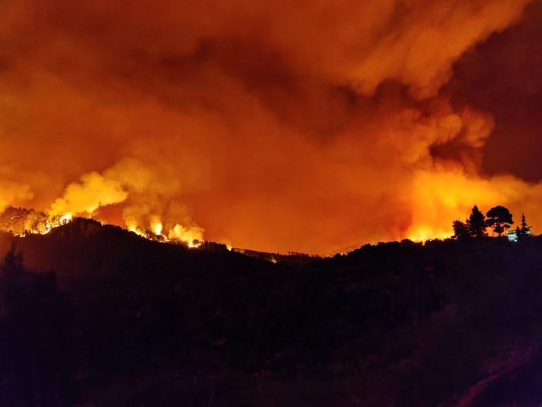 Πύρινος εφιάλτης στην Εύβοια: Απομάκρυναν 90 ανθρώπους από τις Ροβιές μέσω θαλάσσης – Εκκενώνεται η Σκεπαστή (video)