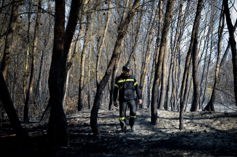 Δύο προσαγωγές για τις φωτιές σε Κρυονέρι και Φωκίδα – Αναζητείται πιθανός εμπρηστής στην Ηλεία