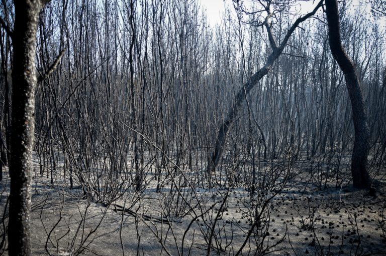 Προσαγωγή άνδρα για την πρώτη πυρκαγιά στη Ζήρια Αιγιαλείας