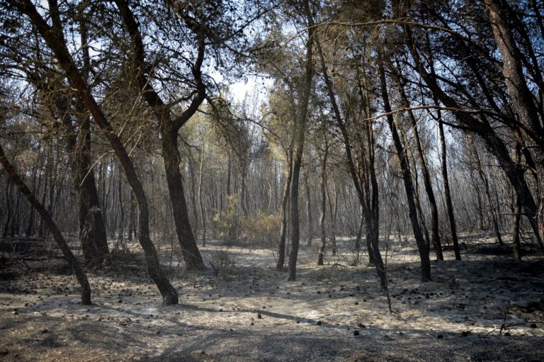 Αντιδήμαρχος Μαντουδίου-Λίμνης –Αγ. Άννας στο Πρώτο: Τα χωριά μας ζουν σκηνές μικρασιατικής καταστροφής (audio)