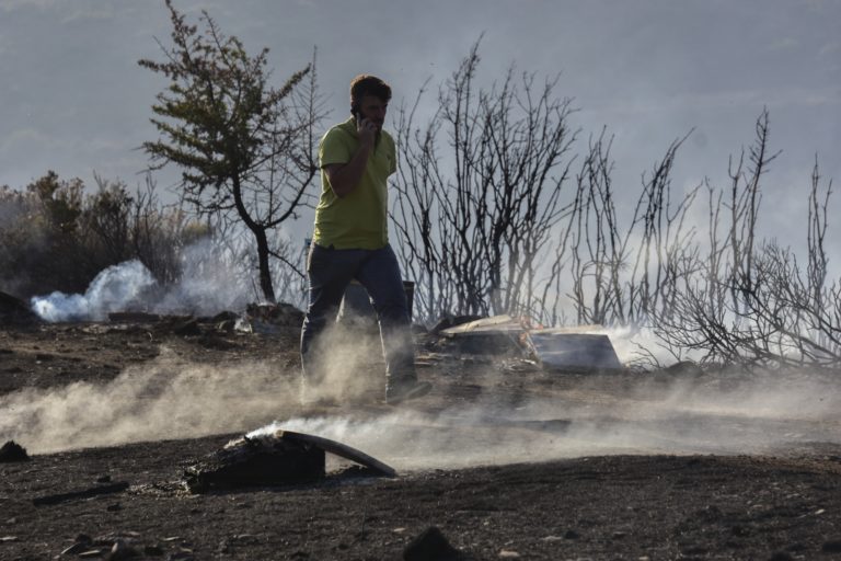 «Ούτε ένα πεύκο για μέλι, ούτε χορτάρι για τα ζώα» – Φωνές απόγνωσης από την Εύβοια (video)
