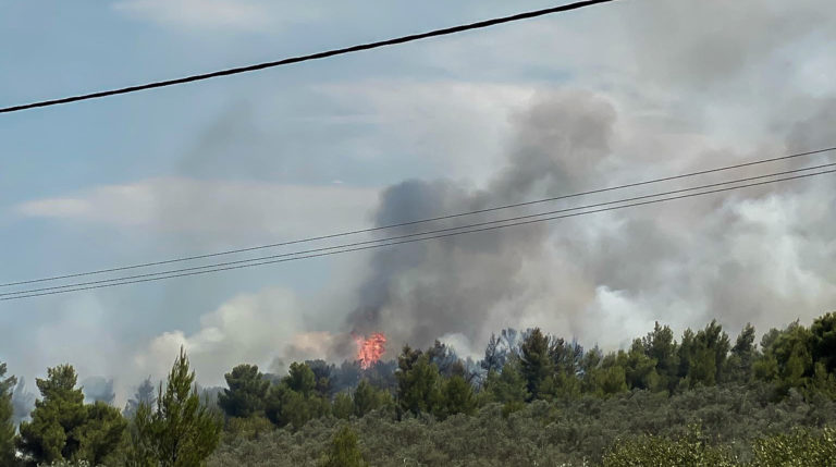 Στον εισαγγελέα ο 14χρονος που ομολόγησε τις φωτιές στο Θεολόγο – Απολογούνται και οι γονείς του (video)