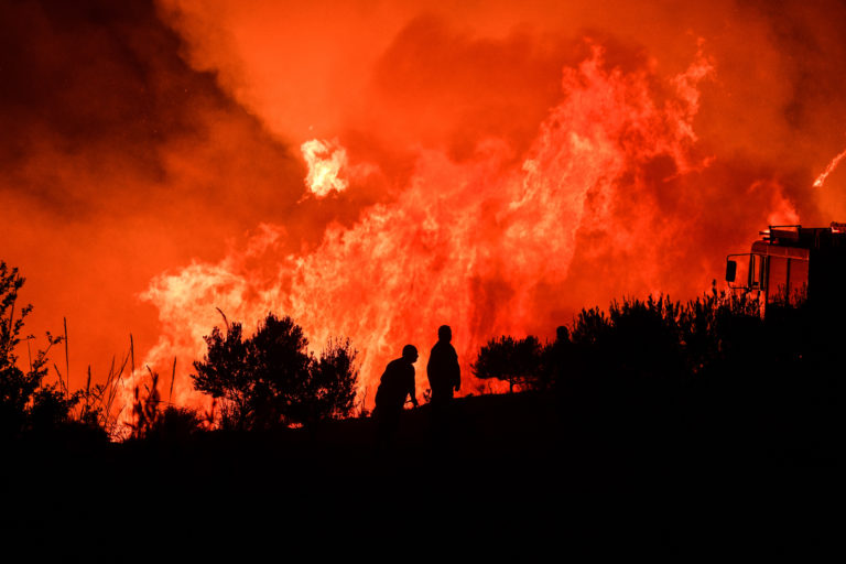 Το τρίπτυχο του WWF για τις πυρκαγιές