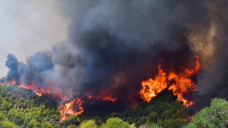 Mεσσηνία: Βελτιωμένη η κατάσταση στα μέτωπα των πυρκαγιών (video)