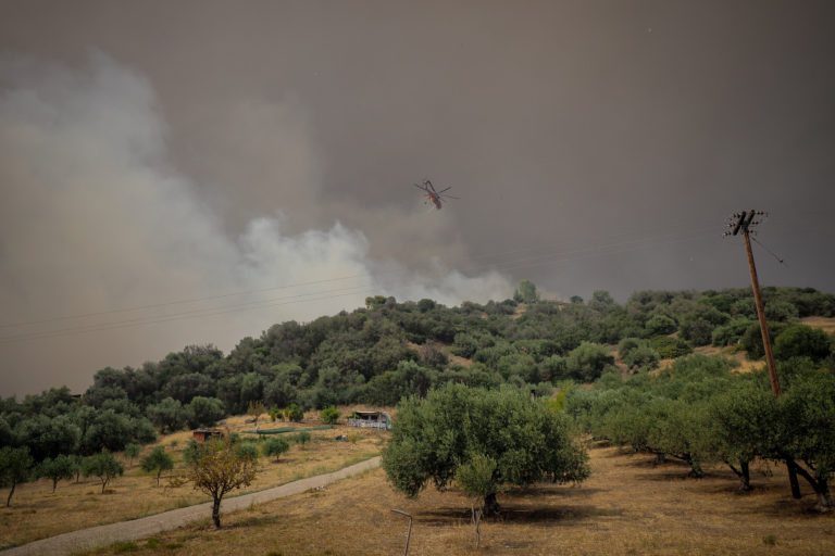 Εγκλωβισμένος βοσκός στις Ροβιές – «Θα καεί ζωντανός εκεί πάνω» λένε οι κόρες του (video)