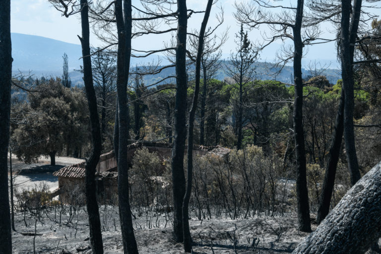 Ποινική δίωξη για πρόκληση πυρκαγιάς στον 43χρονο που συνελήφθη στο Κρυονέρι