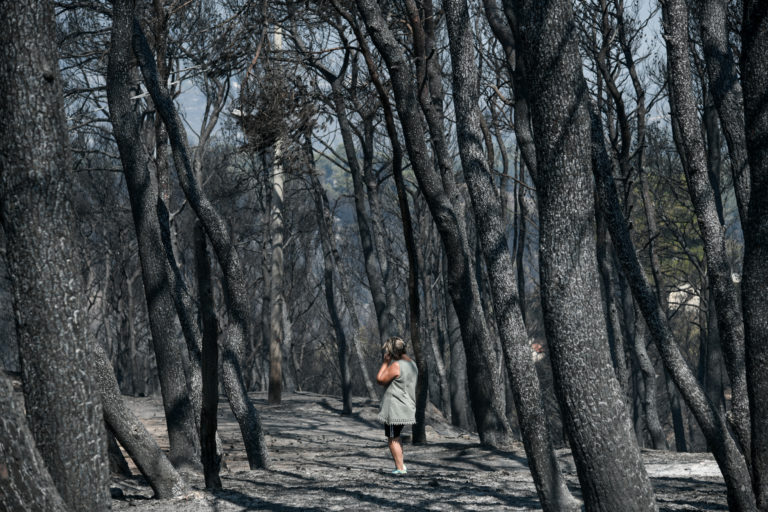 Επικριτική η αντιπολίτευση για τους χειρισμούς σχετικά με τις πυρκαγιές (video)