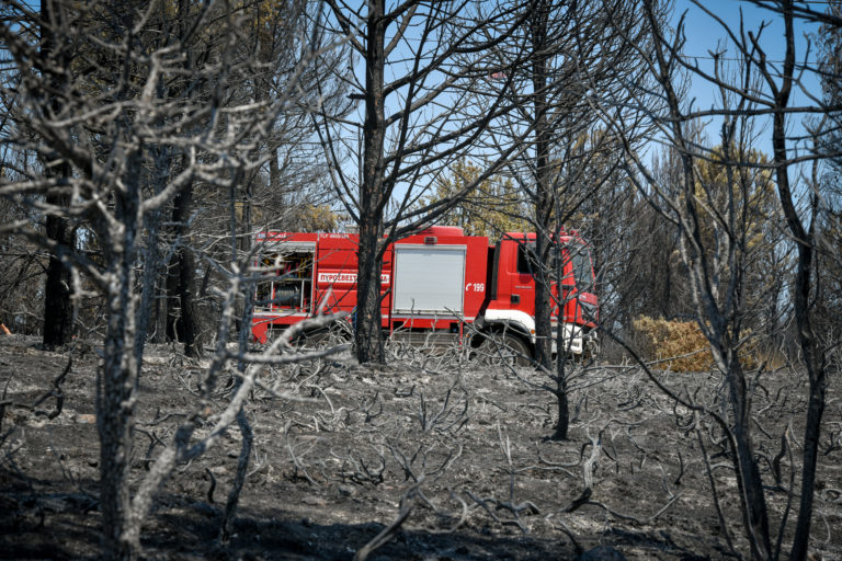 Αρκαδία: Διάσπαρτα μέτωπα σε Ίσαρη, Χράνους, Χρούσα – Αναζωπυρώσεις στην Γορτυνία