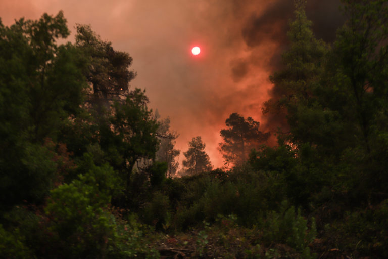 Εύβοια: Μήνυμα εκκένωσης από το 112 για Γούβες, Αρτεμίσιο, Καστρί, Βουλίκι και Πευκί