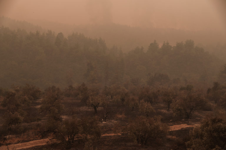 Κίνημα Αλλαγής: Η εισαγγελική έρευνα να επεκταθεί και στις ευθύνες του κυβερνητικού μηχανισμού