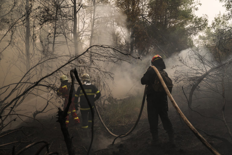 Ιταλία: Πρώτη στην Ευρώπη σε αριθμό πυρκαγιών, δεύτερη μετά την Ελλάδα σε καμένες εκτάσεις