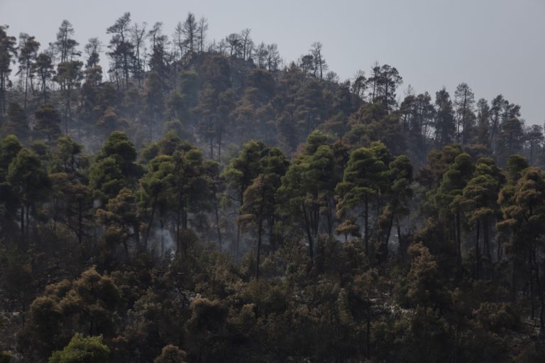 Εύβοια: Με τον φόβο αναζωπυρώσεων πυροσβέστες, εθελοντές και κάτοικοι (video)