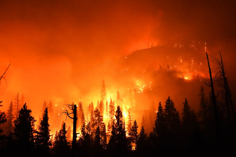 ΗΠΑ: Πώς η πολυετής καταπολέμηση των πυρκαγιών συνέβαλε στην αύξησή τους