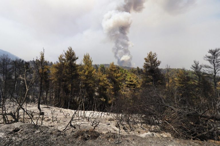 Δήμαρχος Ιστιαίας: Η χειρότερη πυρκαγιά του αιώνα – Ζητούμε εναέρια μέσα για να δώσουν ένα τέλος σε αυτό τον εφιάλτη – Στάχτη 100.000 στρέμματα