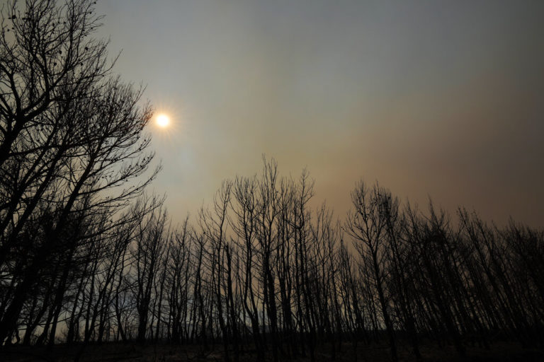 Φωτογραφίες: Κρανίου τόπος η βόρεια Αττική – Μετρά τις πληγές της από την μεγάλη πυρκαγιά
