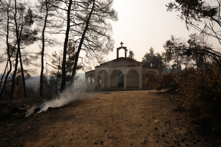 Φωτογραφίες – βόρεια Εύβοια: Οδοιπορικό του Associated Press σε καμένο δάσος μετά από την σαρωτική πυρκαγιά